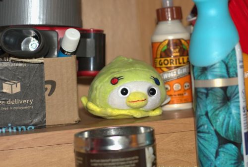 ouioui on shelf