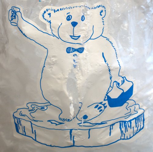 bag of ice